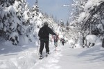 Schneeschuhlaufen, Québec