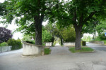 Friedhof von Binningen