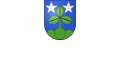 Vereine und Organisationen in der Gemeinde Gondiswil