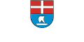 Vereine und Organisationen in der Gemeinde Ingenbohl